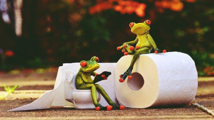Retro style, Frog, Toilet paper, Animals, Situation, Vintage HD Wallpaper Desktop Background