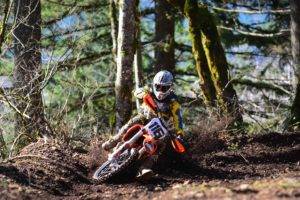 motorcycle, Motocross, Forest, KTM