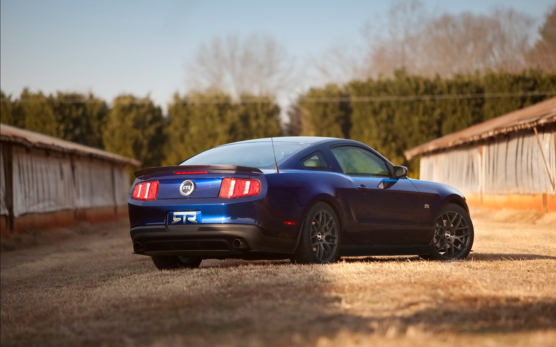car, Blue cars, Ford, Ford Mustang, Ford Mustang RTR Wallpaper