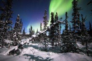 artwork,   landscape, National park, Alaska, Winter, Trees