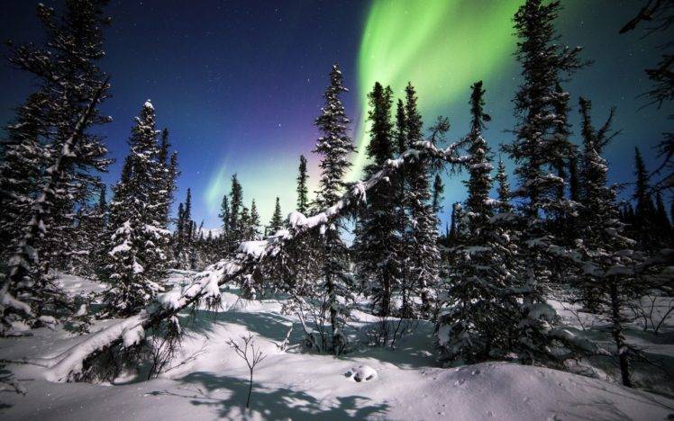 artwork,   landscape, National park, Alaska, Winter, Trees HD Wallpaper Desktop Background
