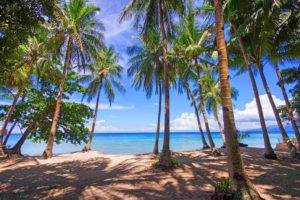 photography, Nature, Landscape, Palm trees, Beach, Tropical, Sea, Sunlight, Shadow, Philippines
