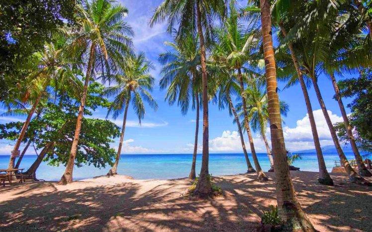 photography, Nature, Landscape, Palm trees, Beach, Tropical, Sea, Sunlight, Shadow, Philippines HD Wallpaper Desktop Background