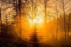 photography, Nature, Landscape, Forest, Sunset, Mist, Amber, Halo, Winter, Snow, Canada