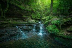 photography, Nature, Landscape, Fairy tale, Forest, Waterfall, Natural light, Moss, Shrubs, Germany