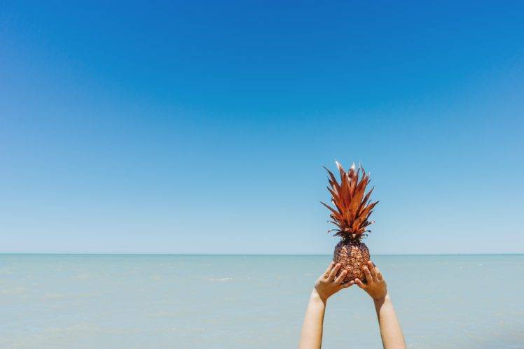 nature, Pineapples, Plants, Fruit, Minimalism HD Wallpaper Desktop Background