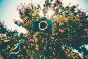 nature, Camera, Trees, Branch, Flowers, Depth of field