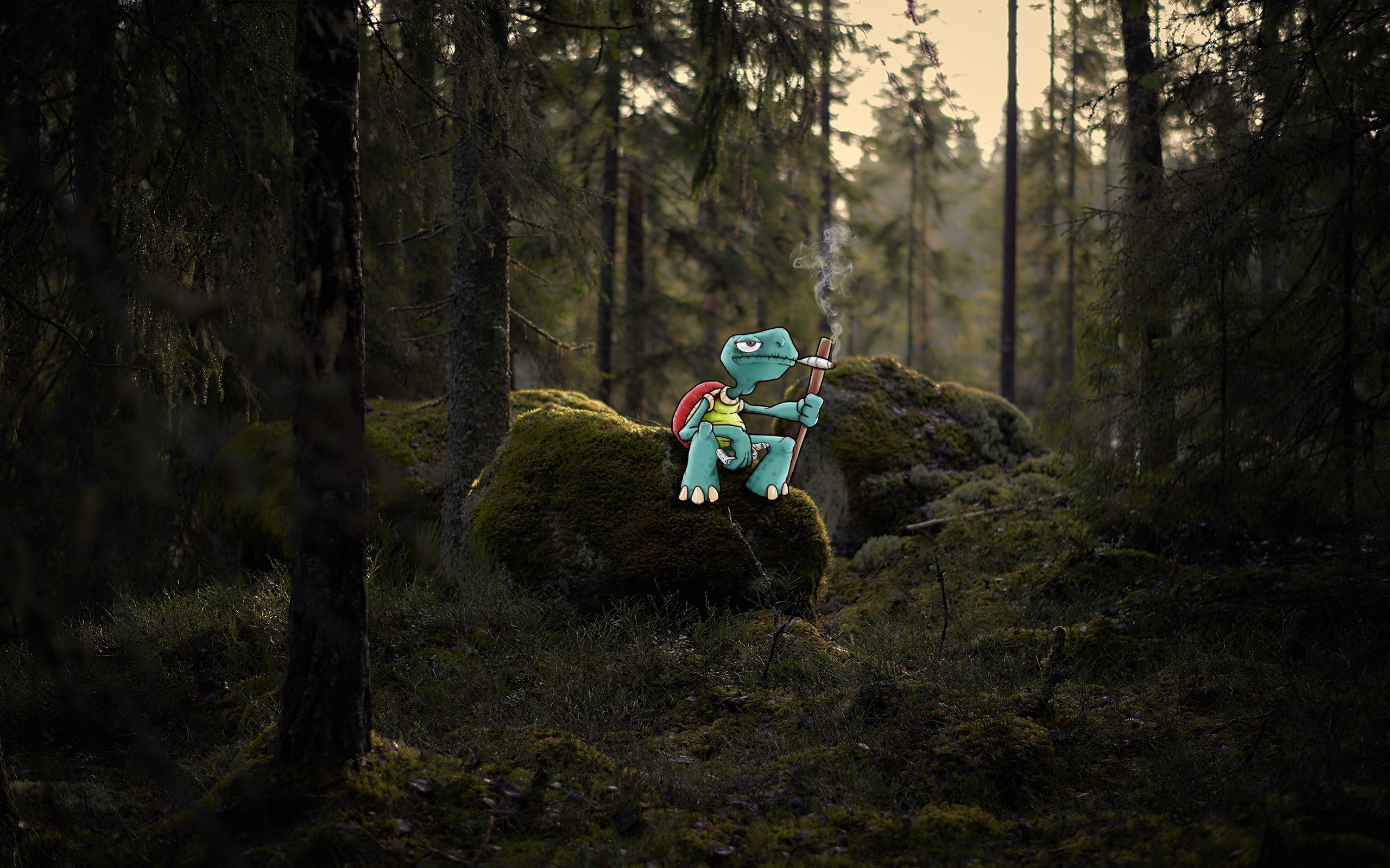 tortoises, Forest, Smoking, Vaporizers, Moss, Green Wallpaper