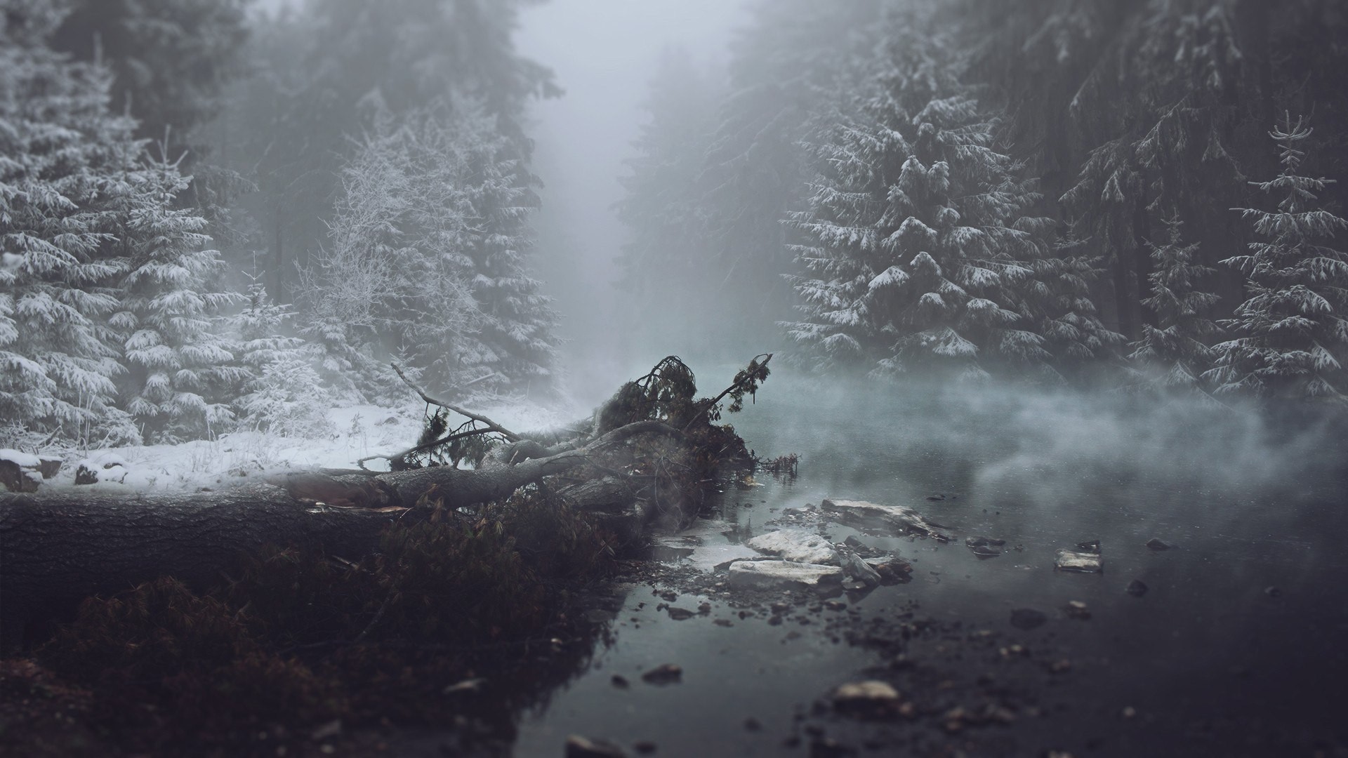 mist, Water, River, Trees, Snow, Winter, Photography, Grass Wallpaper