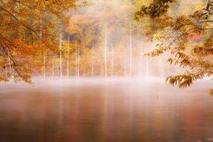 photography, Landscape, Nature, Fall, Forest, Mist, Lake, Trees