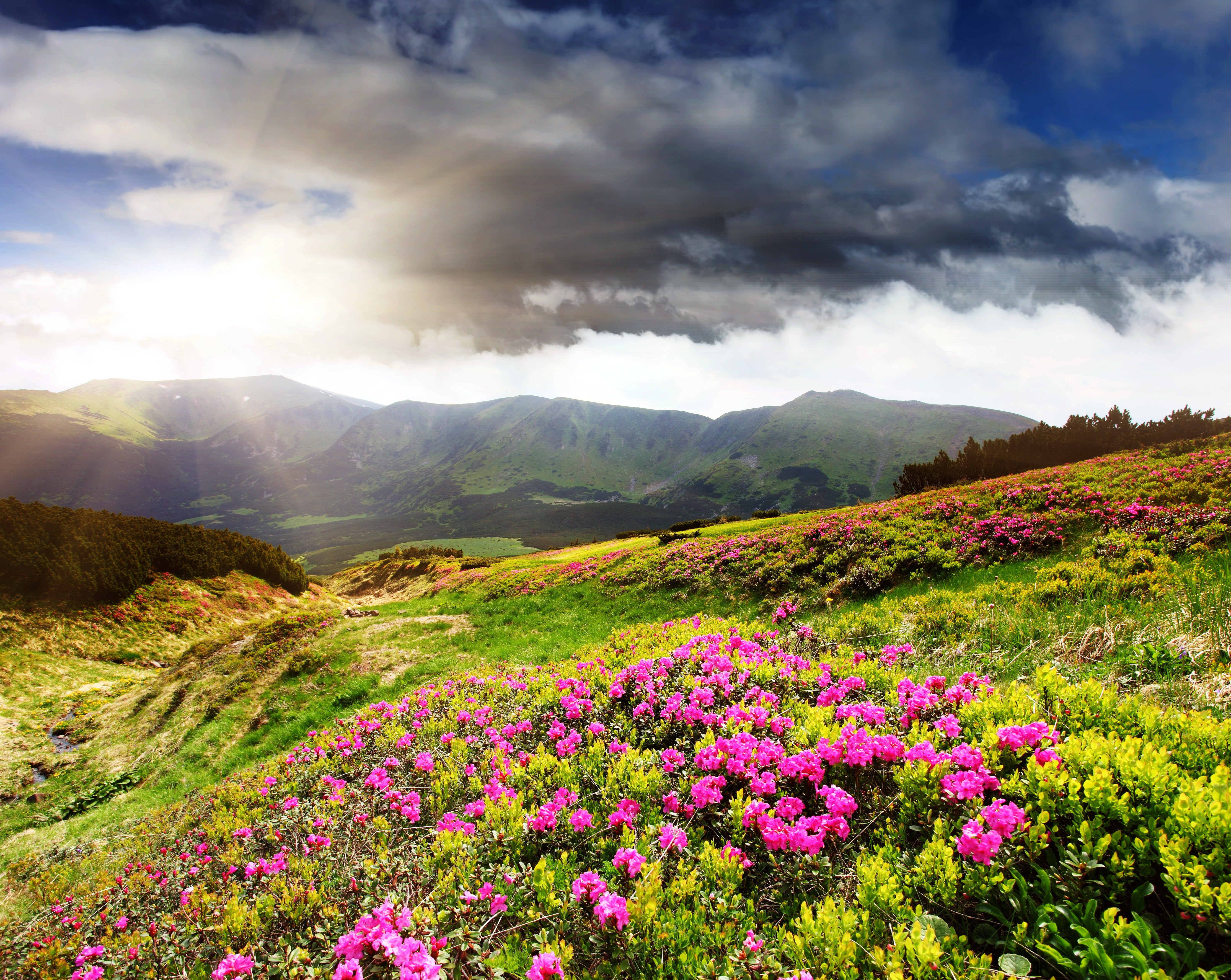 весна горы природа цветы небо облака без смс
