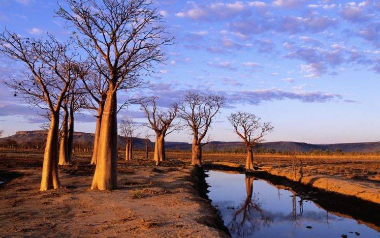 Australia, Trees, Nature, Water, Sky HD Wallpaper Desktop Background