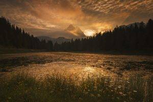 photography, Nature, Landscape, Morning, Sunlight, Sunrise, Wildflowers, Gold, Sky, River, Mountains, Forest