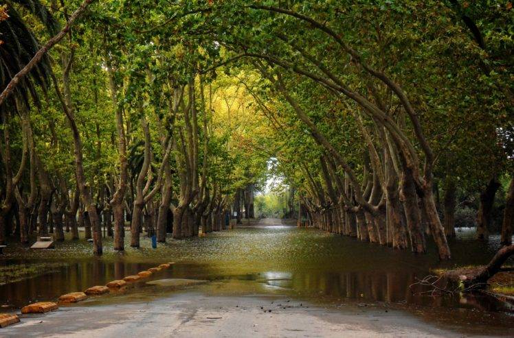 river, Uruguay, Trees, Nature HD Wallpaper Desktop Background