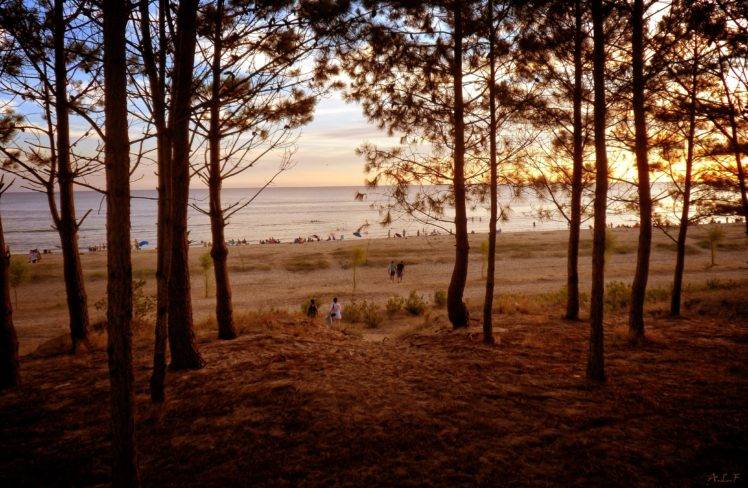 sea, Forest, Sunset, Uruguay HD Wallpaper Desktop Background