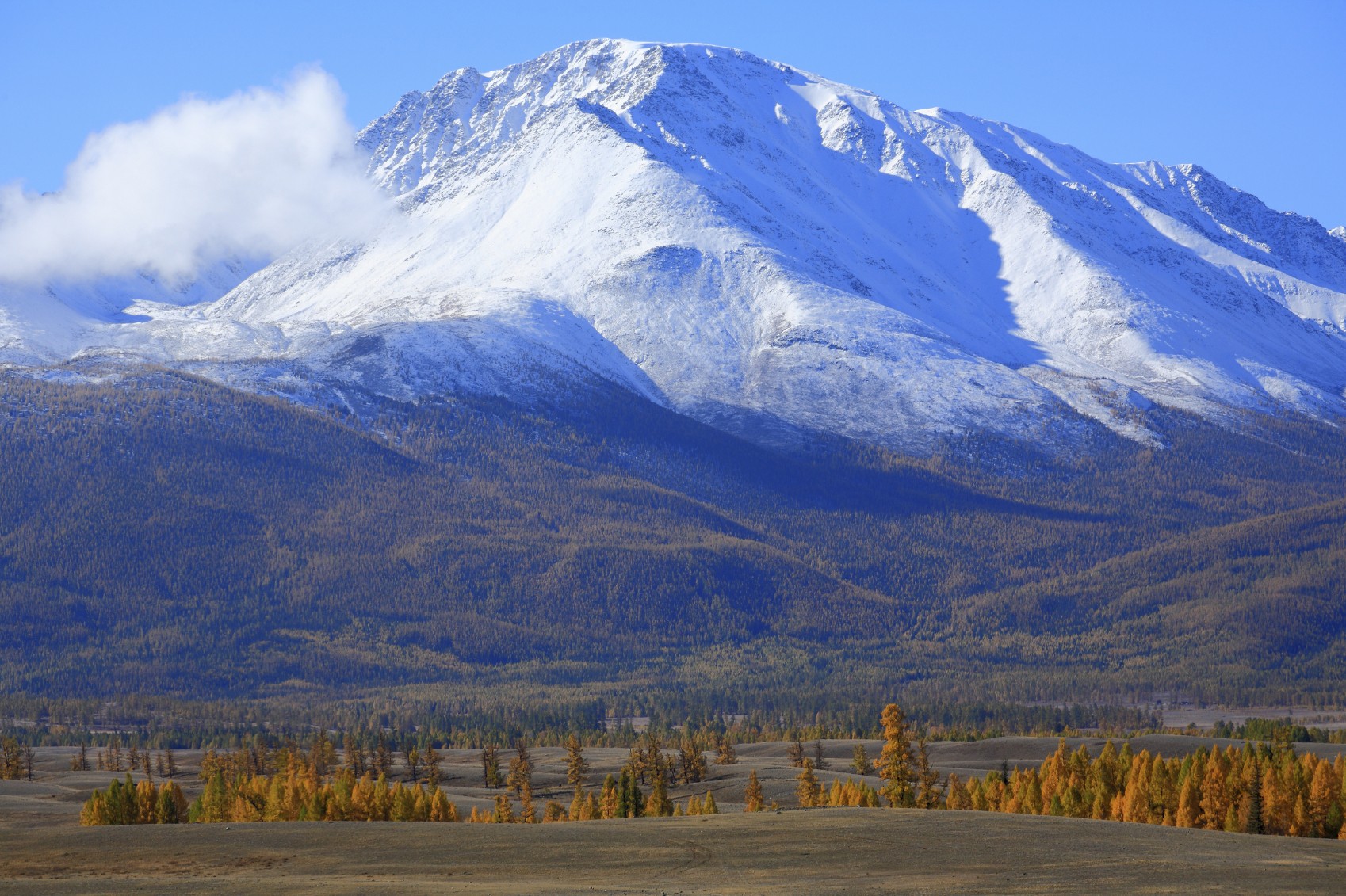 landscape, Animals, Winter Schnee, Town Wallpaper