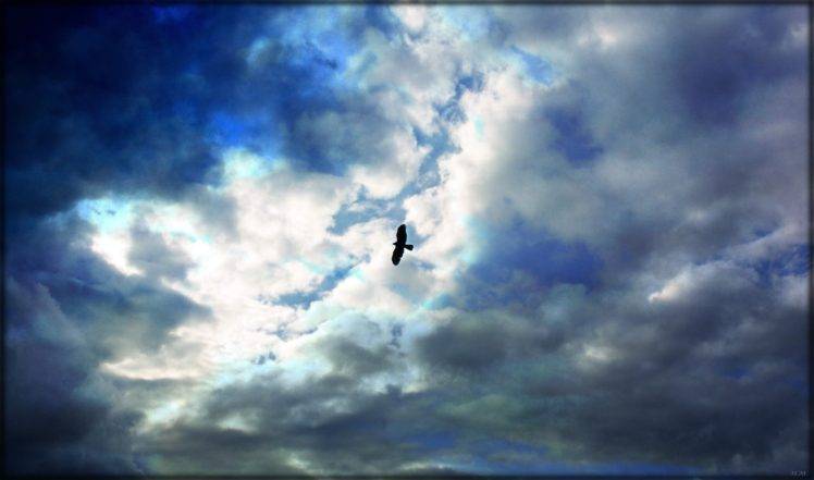 photographer, Uruguay, Sky, Birds, Clouds HD Wallpaper Desktop Background