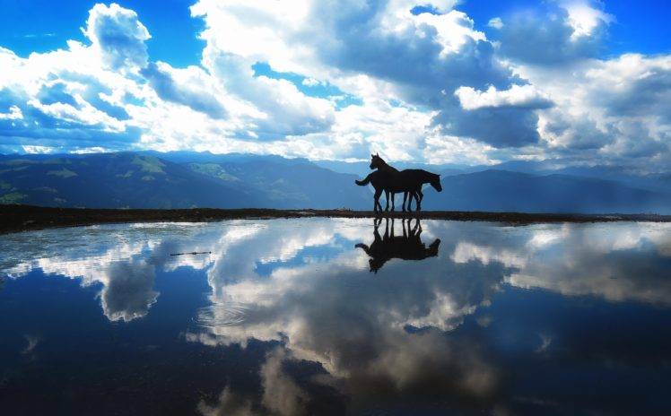 horse, Landscape, Nature, Animals, Sky, Clouds HD Wallpaper Desktop Background