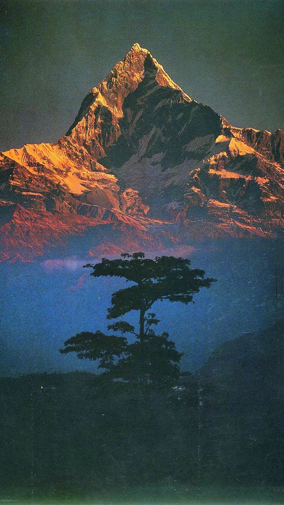 nature, Landscape, Mountains, Trees, Portrait display, Filter, Himalayas, Nepal, Snowy mountain, Sunlight, Annapurna Wallpaper
