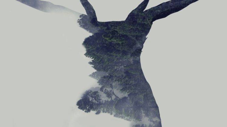 Adobe Photoshop, Deer, Forest HD Wallpaper Desktop Background
