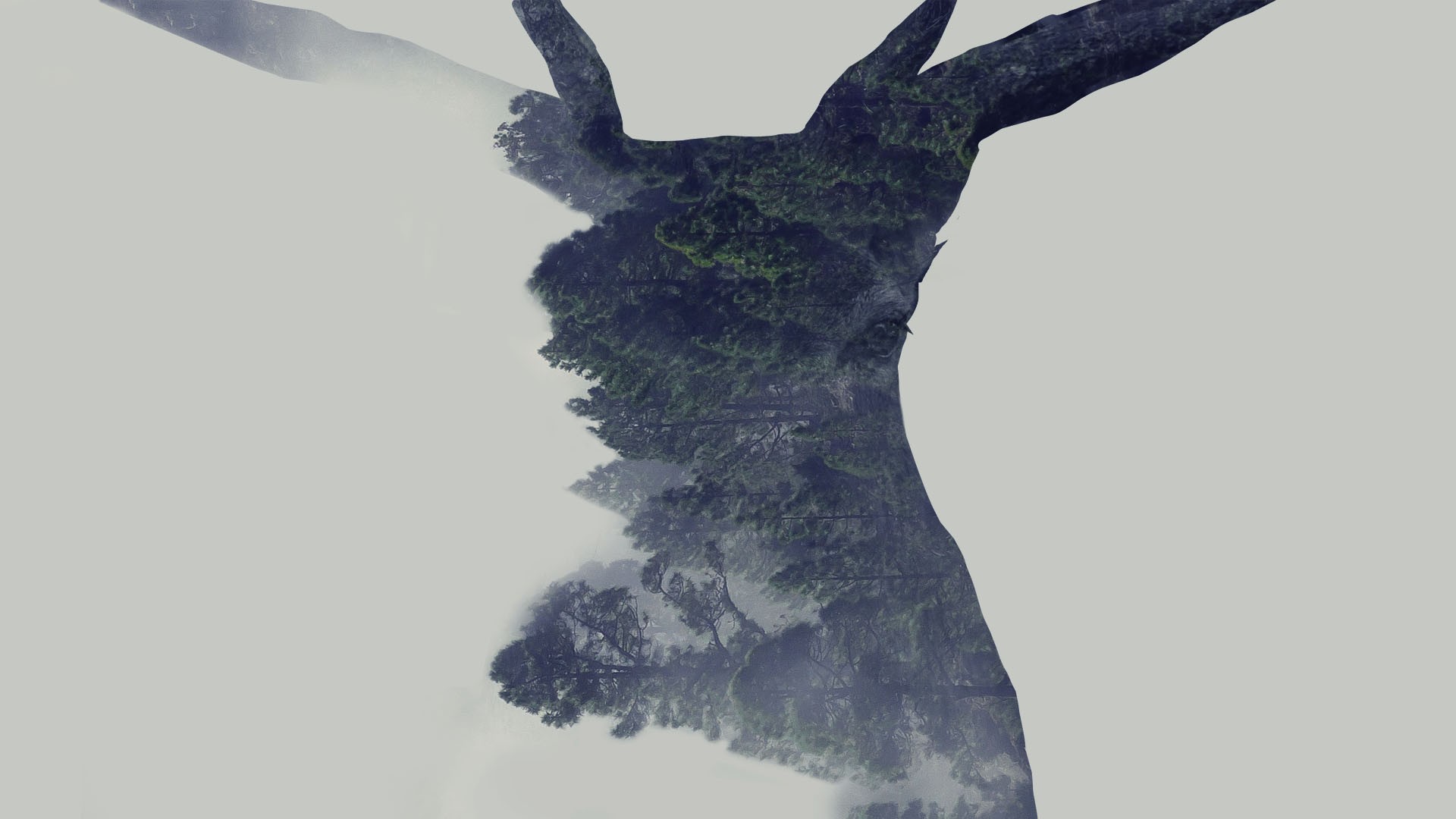 Adobe Photoshop, Deer, Forest Wallpaper