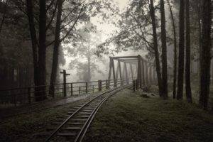 nature, Railway, Bridge, Trees