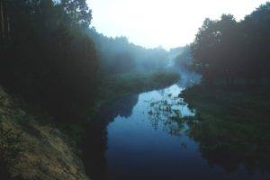 Justyna Ferska, Landscape, River, Morning, Sun, Clear sky, Oak trees, Forest, Photography, Poland