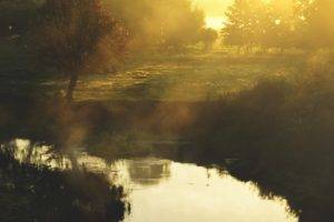 Justyna Ferska, Landscape, River, Morning, Sun, Clear sky, Oak trees, Forest, Photography, Poland