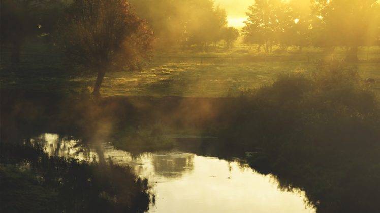 Justyna Ferska, Landscape, River, Morning, Sun, Clear sky, Oak trees, Forest, Photography, Poland HD Wallpaper Desktop Background
