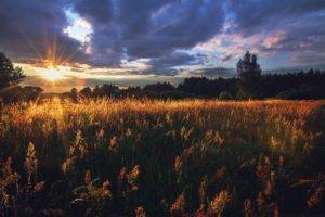 Russia, Landscape, Sun rays, Field, Sunset