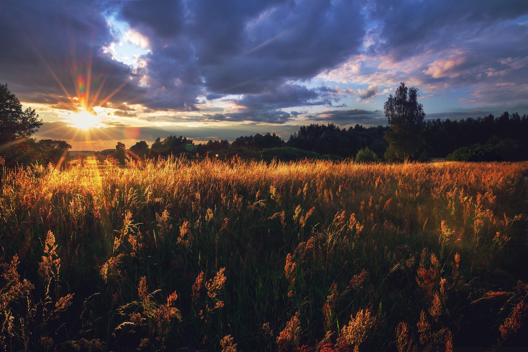 Russia, Landscape, Sun rays, Field, Sunset Wallpaper