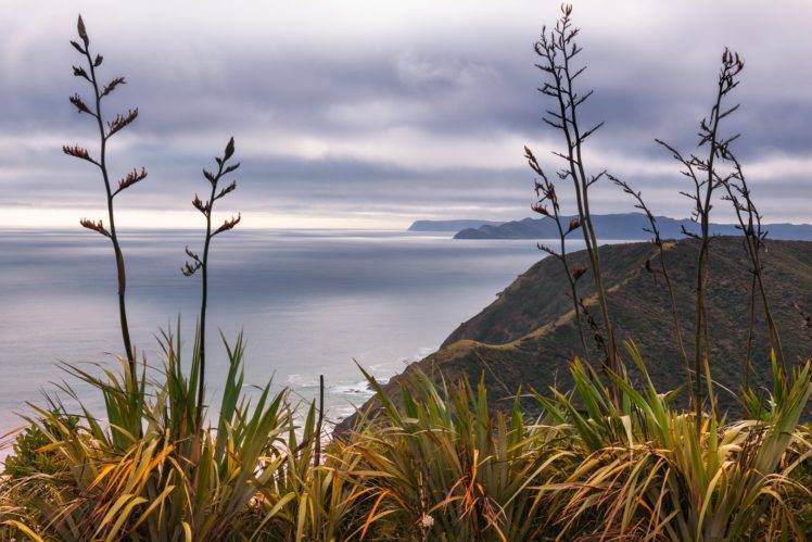 New Zealand, Landscape HD Wallpaper Desktop Background
