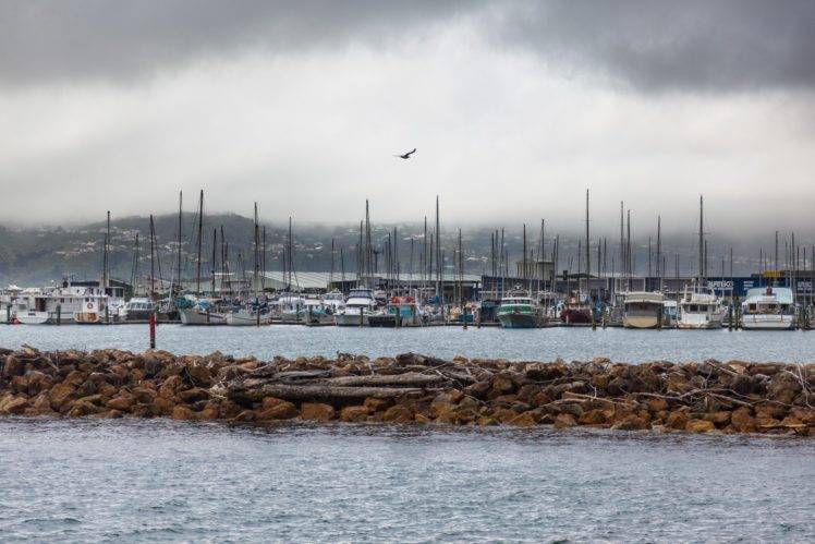 landscape, New Zealand, Yachts, Harbor HD Wallpaper Desktop Background