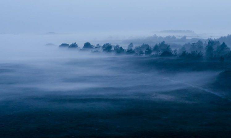 photography, Nature, Landscape, Evening, Mist, Blue, Forest, Dirt road HD Wallpaper Desktop Background