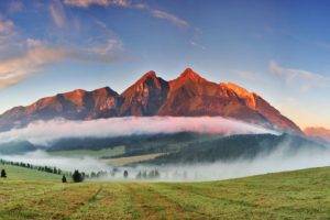 photography, Nature, Landscape, Mountains, Sunset, Mist, Forest, Field, Trees, Grass, Slovakia, Tatra Mountains