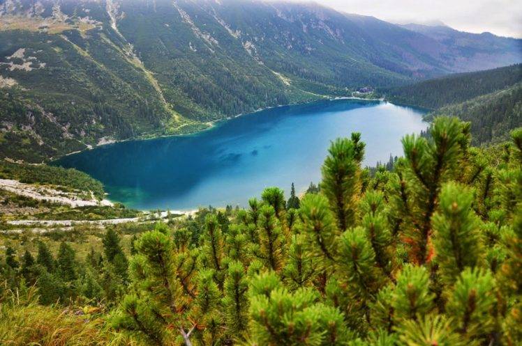 photography, Nature, Landscape, Lake, Forest, Summer, Tatra Mountains, Poland HD Wallpaper Desktop Background