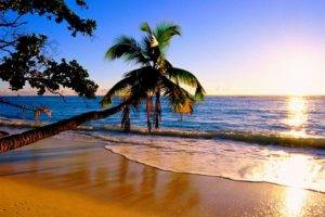 nature, Sunset, Water, Palm trees, Beach