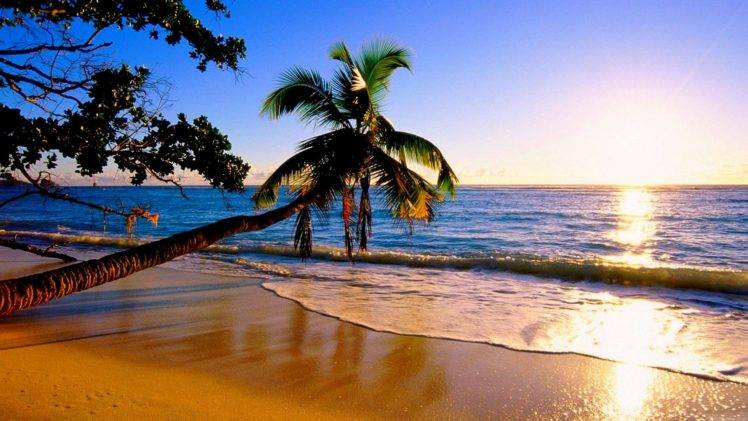 nature, Sunset, Water, Palm trees, Beach HD Wallpaper Desktop Background
