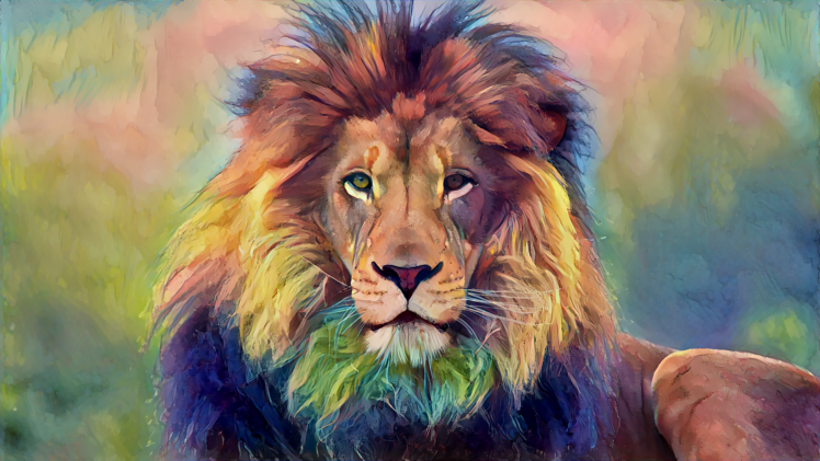 lion, Animals, Wildlife HD Wallpaper Desktop Background