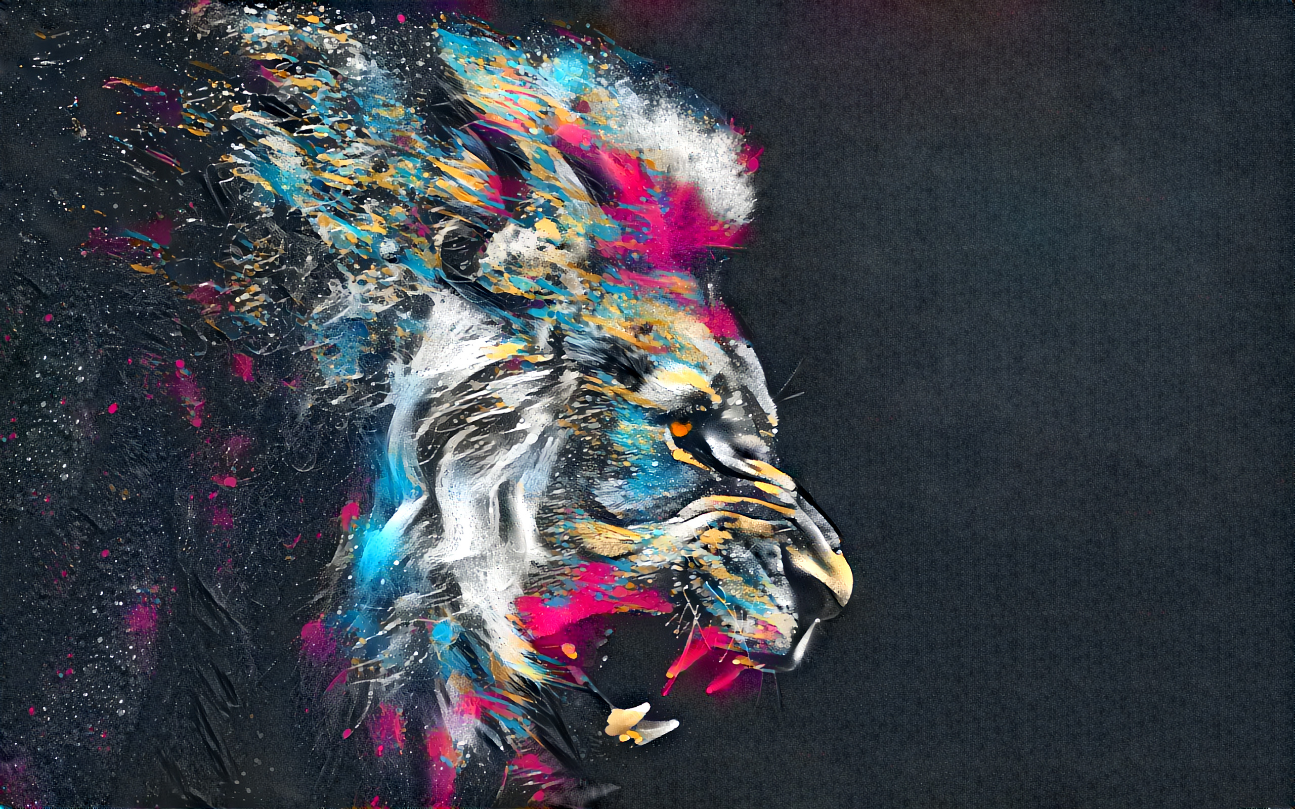 lion, Animals, Wildlife Wallpaper