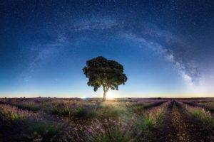 nature, Milky Way, Sky