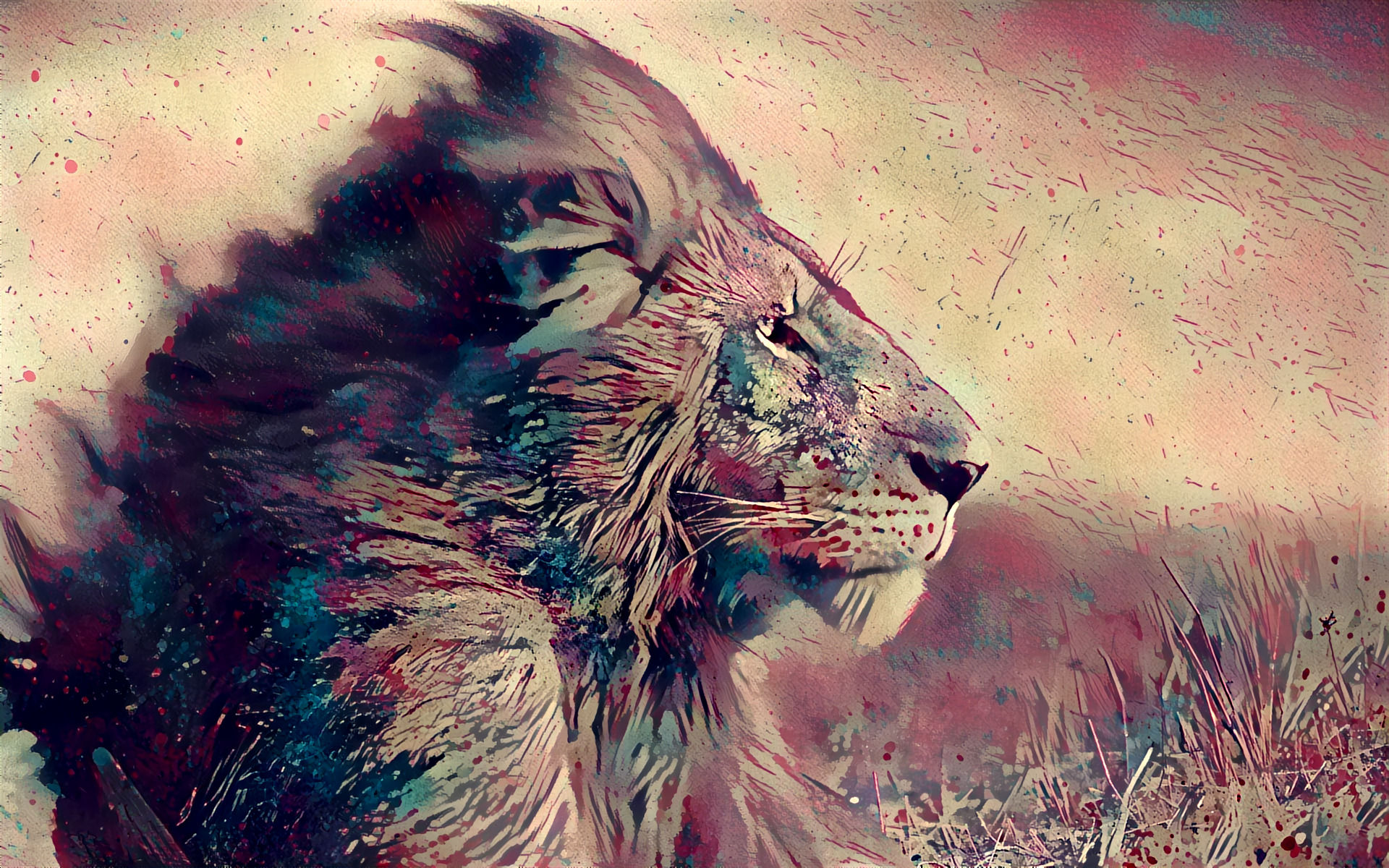 lion, Animals, Wildlife Wallpaper