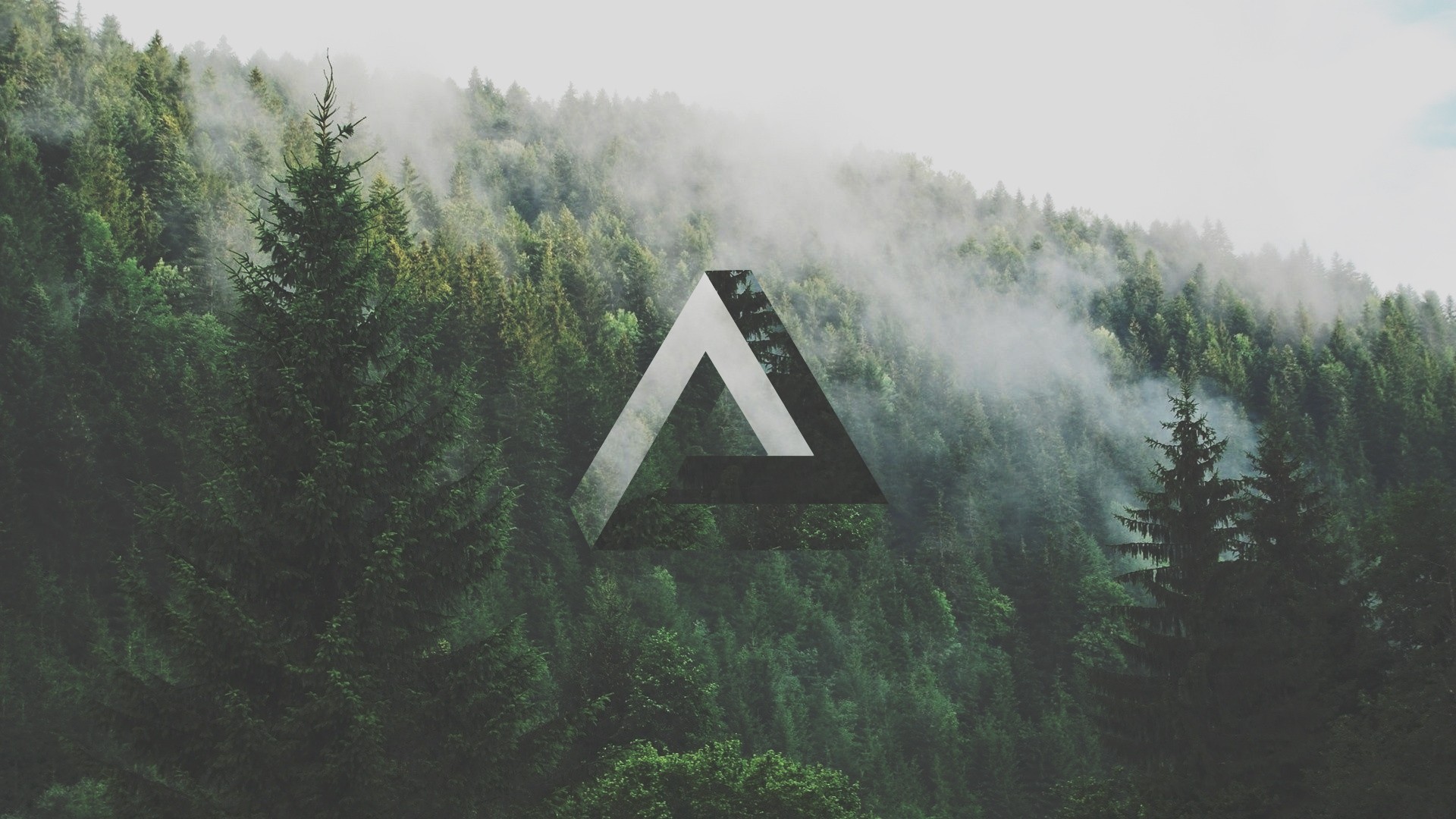 triangle, Geometry, Forest, Penrose triangle Wallpaper