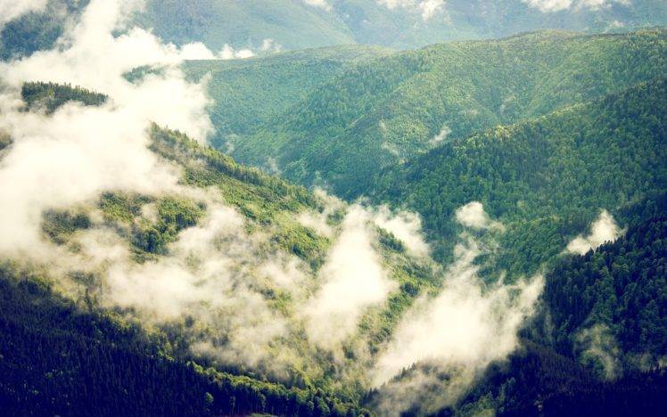 forest, Clouds, Green, Nature HD Wallpaper Desktop Background