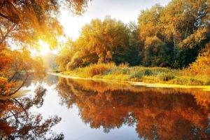 fall, Landscape, Trees, Water