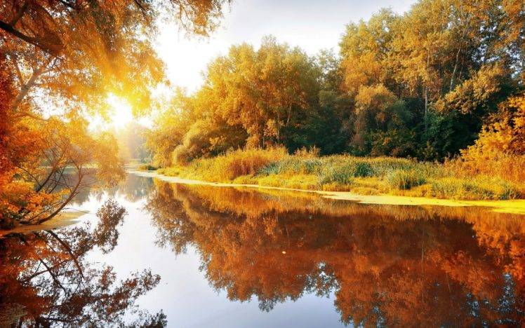 fall, Landscape, Trees, Water HD Wallpaper Desktop Background