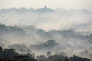 photography, Nature, Landscape, Mist, Morning, Daylight, Tropical forest, Hills, Temple, Buddhism, Indonesia