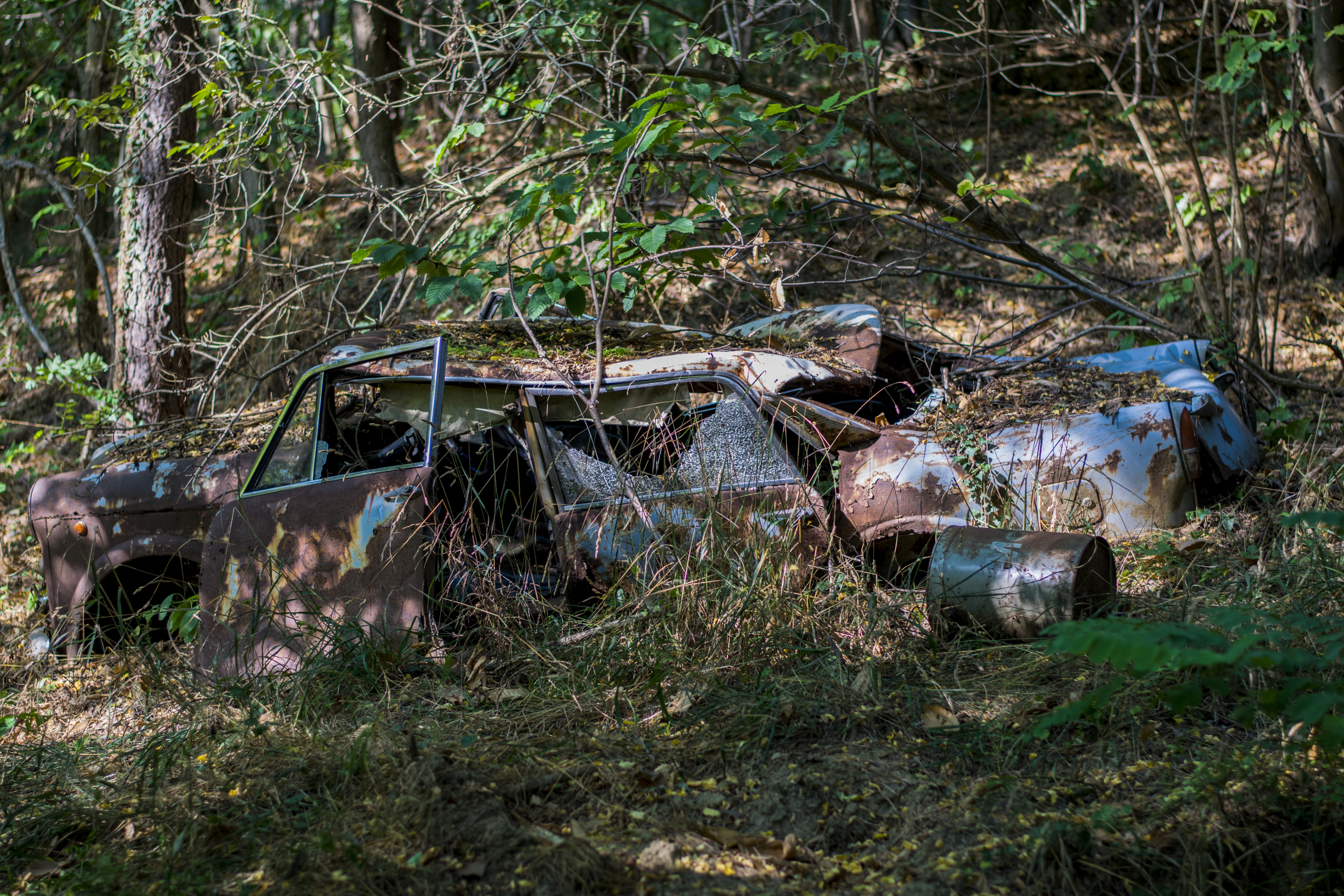 old car, Wildflowers, Vintage car, Nature Wallpaper