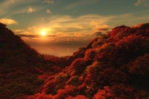 nature, Landscape, Trees, Forest, Sun, Fall, Clouds, Hills