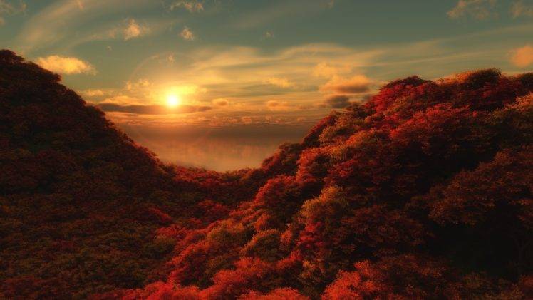 nature, Landscape, Trees, Forest, Sun, Fall, Clouds, Hills HD Wallpaper Desktop Background
